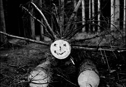 © Josef Safranek