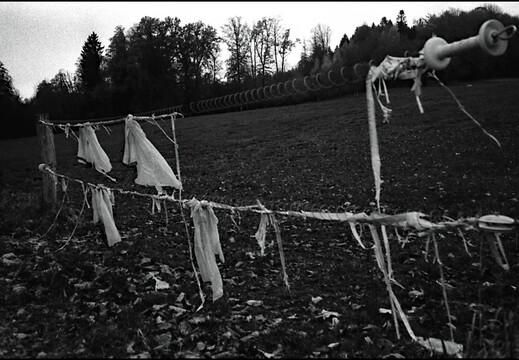 © Josef Safranek