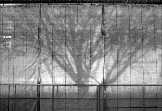 © Josef Safranek