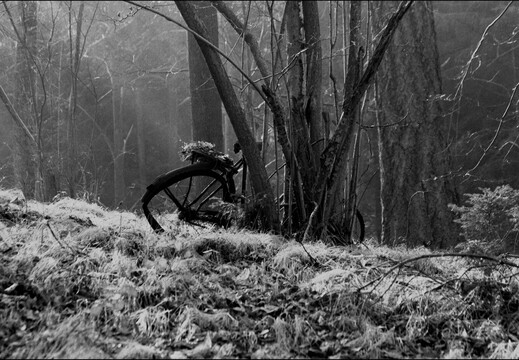© Josef Safranek