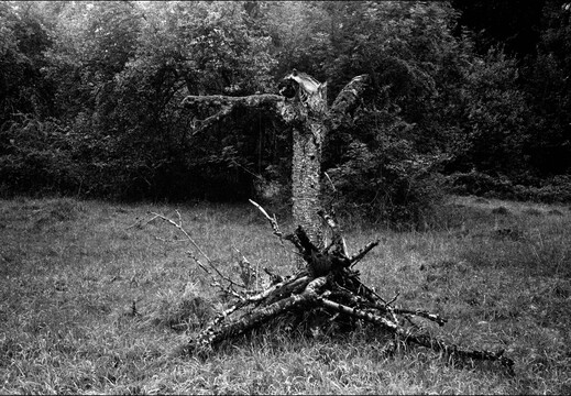 © Josef Safranek