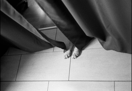 © Josef Safranek