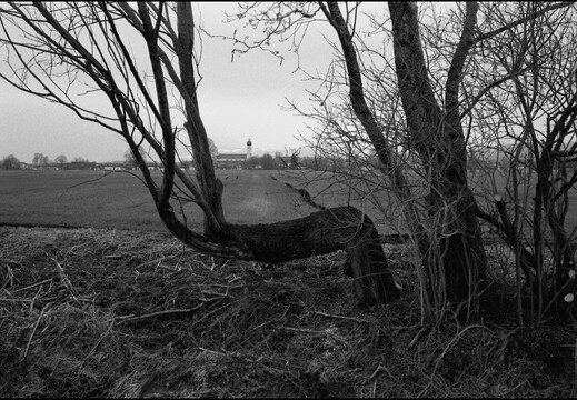 © Josef Safranek