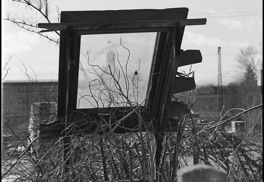 © Josef Safranek