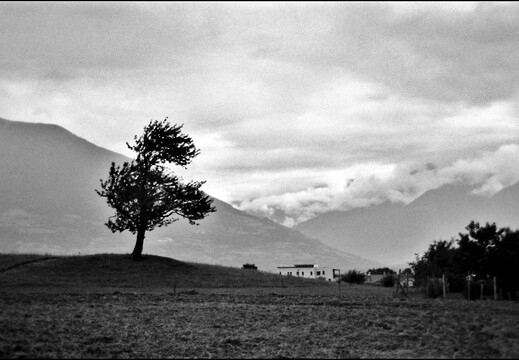 © Josef Safranek