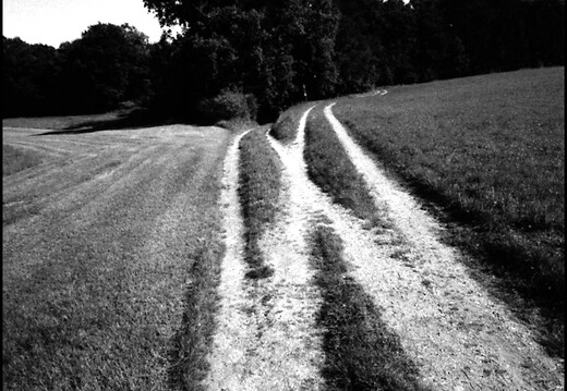 © Josef Safranek