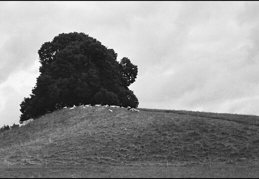 © Josef Safranek
