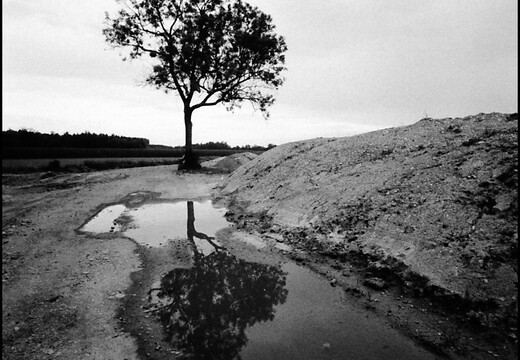 © Josef Safranek