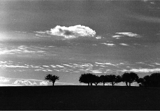 © Josef Safranek