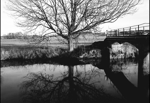 © Josef Safranek