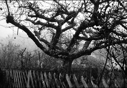 © Josef Safranek