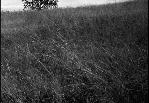 © Josef Safranek