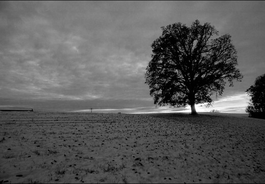 © Josef Safranek