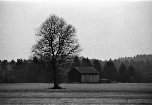 © Josef Safranek
