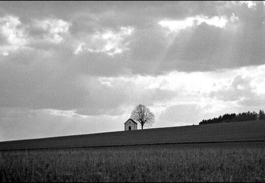 © Josef Safranek