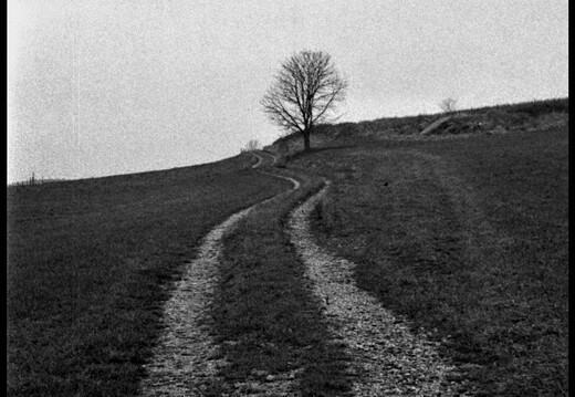 © Josef Safranek