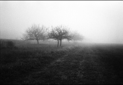 © Josef Safranek