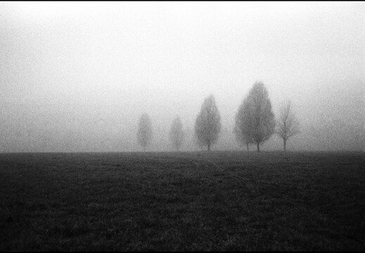 © Josef Safranek