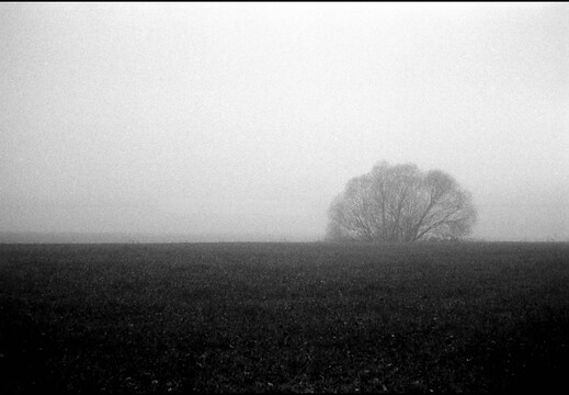 © Josef Safranek