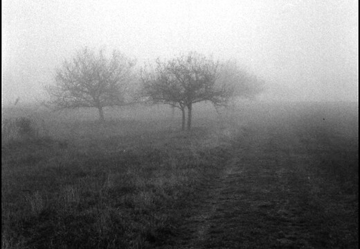 © Josef Safranek