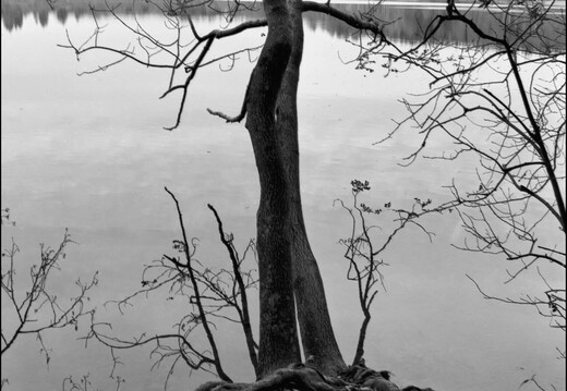 © Josef Safranek