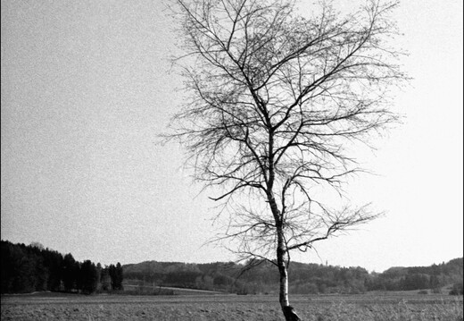 © Josef Safranek