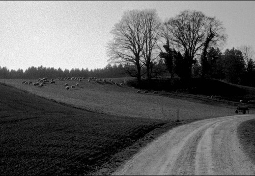 © Josef Safranek
