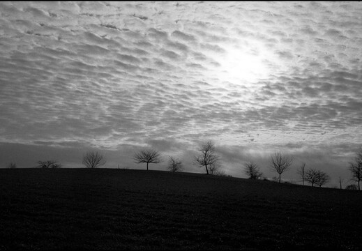 © Josef Safranek