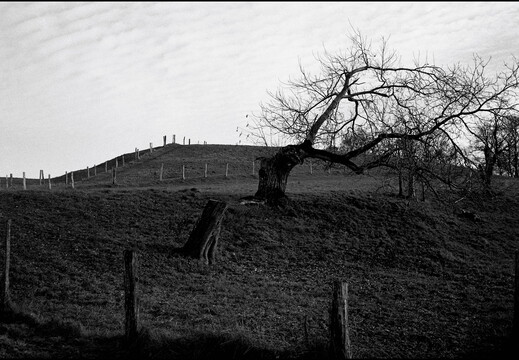 © Josef Safranek