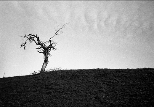 © Josef Safranek