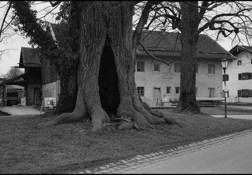 © Josef Safranek