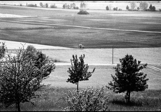 © Josef Safranek