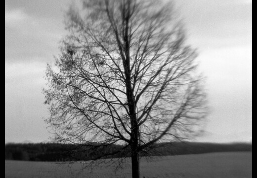 © Josef Safranek