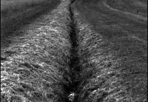© Josef Safranek
