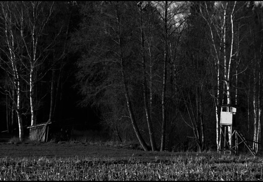 © Josef Safranek