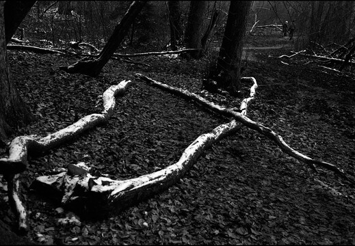 © Josef Safranek