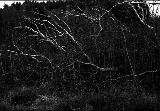© Josef Safranek