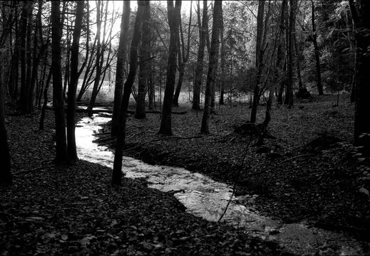 © Josef Safranek