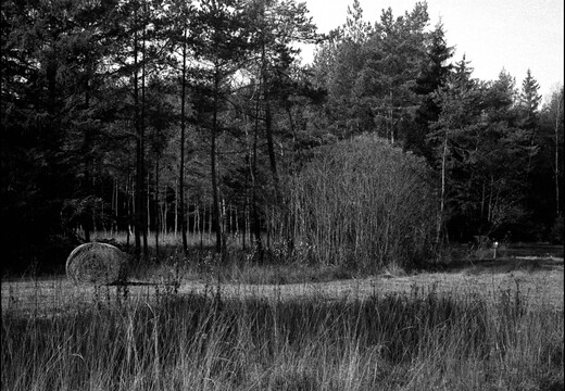 © Josef Safranek