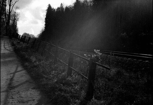 © Josef Safranek