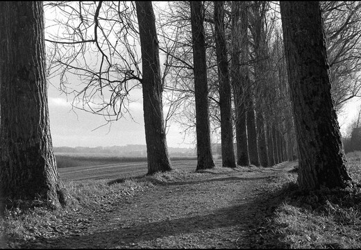 © Josef Safranek