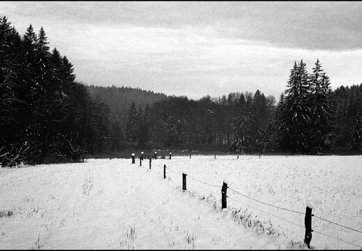 © Josef Safranek