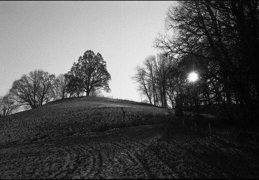 © Josef Safranek