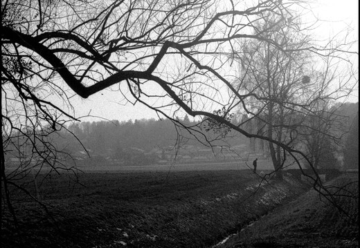 © Josef Safranek