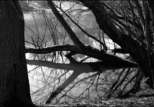 © Josef Safranek