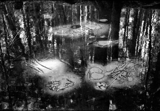 © Josef Safranek