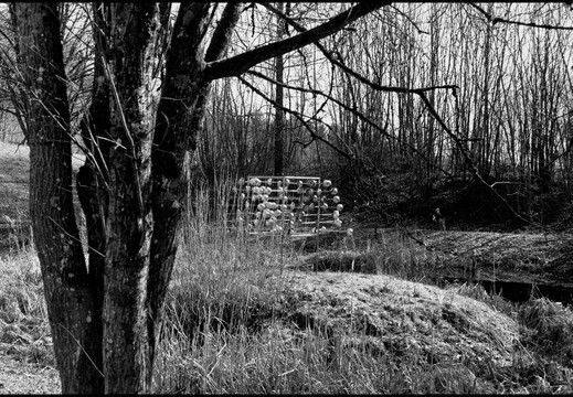 © Josef Safranek
