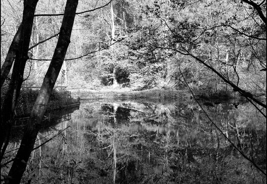 © Josef Safranek