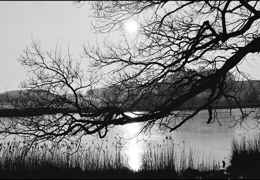 © Josef Safranek