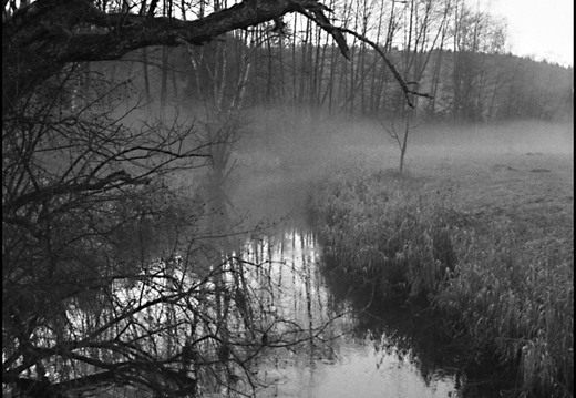 © Josef Safranek